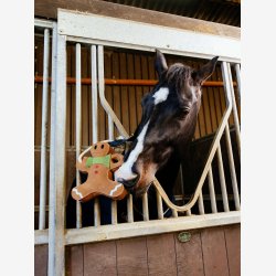 LeMieux Hestelegetj - Gingerbread