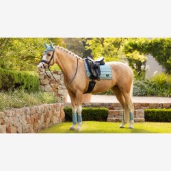 LeMieux Loire Classic DR Square - Aqua