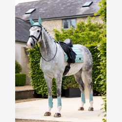 LeMieux Loire Classic DR Square - Aqua