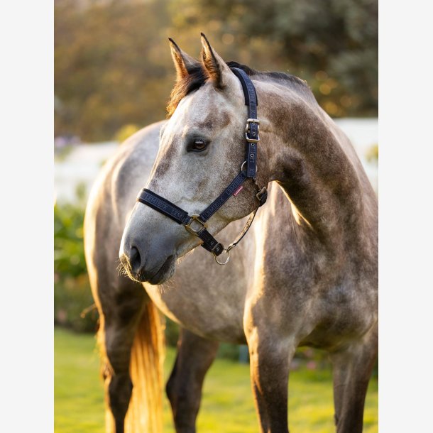 LeMieux Logo grime - Navy