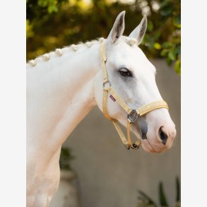 LeMieux Logo grime - Mimosa