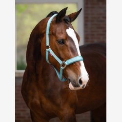 LeMieux Logo grime - Lagoon