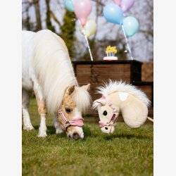 LeMieux Kphest - Lemon