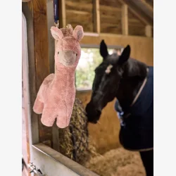 LeMieux Hesteleget�j - Plush - Lama