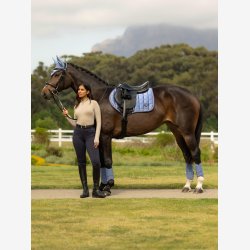 LeMieux Loire Classic CC Square - Powder Blue