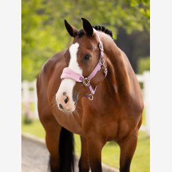 LeMieux Vouge grime m. tr�ktov - Mallow