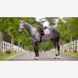 LeMieux Essence CC Square  - Fondant