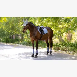 LeMieux Essence CC Square  - Powder Blue /Shadow