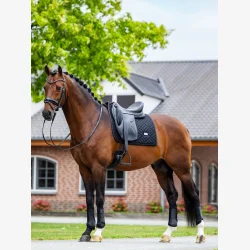 Equestrian Stockholm Dressur Sadelunderlag Modern Mesh - Sort - FULL