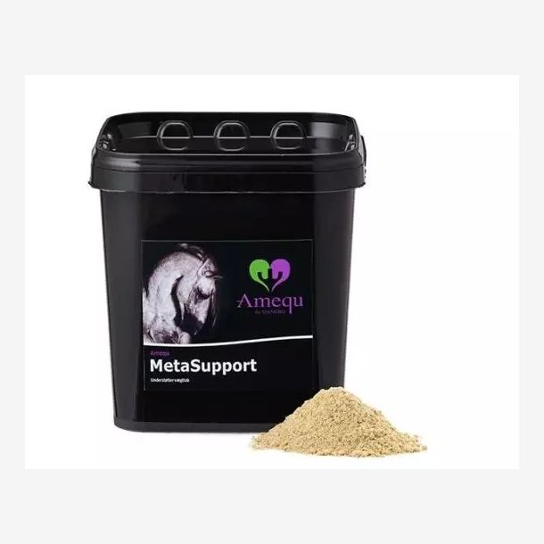 Amequ MetaSupport
