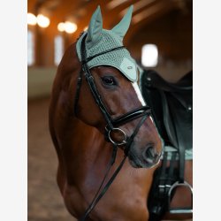 ES Hut - Modern Mint Green