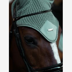 ES Hut - Modern Mint Green