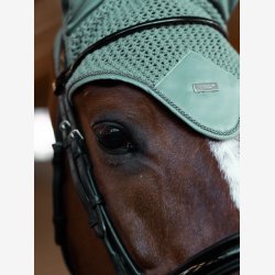 ES Hut - Modern Mint Green