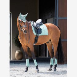 ES Hut - Modern Mint Green