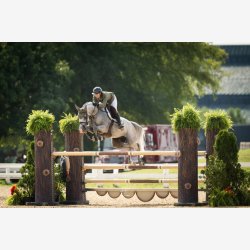 ES Hut - Padded Modern Striking Valley