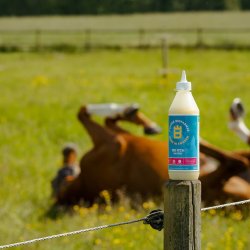 Eclipse Biofarmab No Itch - 500 ml