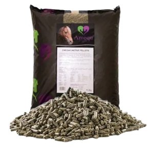 Amequ Omega-3 Active Pellets - 15 kg