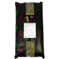 Amequ Omega-3 MetaSense