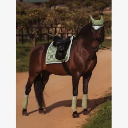 Equestrian Stockholm Dressur Sadelunderlag - Pistachio - FULL