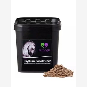 Amequ Psyllium Cococrunch