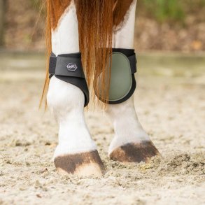 QHP Fetlock Bagbensgamache - Deep Forest