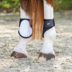 QHP Fetlock Bagbensgamache - Hvid