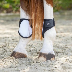 QHP Fetlock Bagbensgamache - Hvid