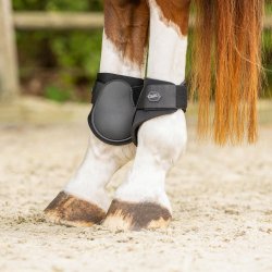 QHP Fetlock Bagbensgamache - Sort