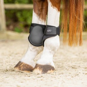 QHP Fetlock Bagbensgamache - Sort