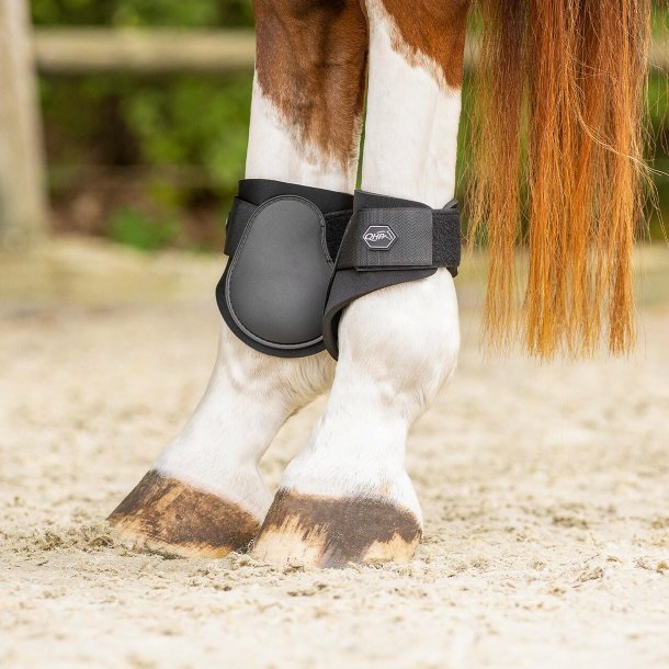 QHP Fetlock Bagbensgamache - Sort