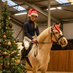 QHP Jule hue til hest og pony