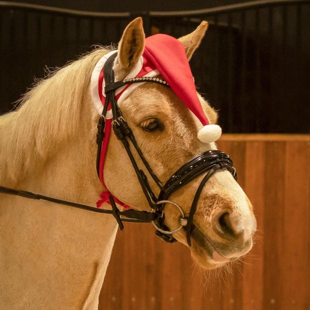 QHP Jule hue til hest og pony