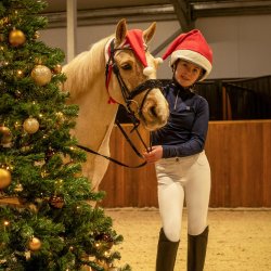 QHP Jule hue til hest og pony