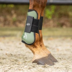 QHP Tendon Gamache - Deep Forest