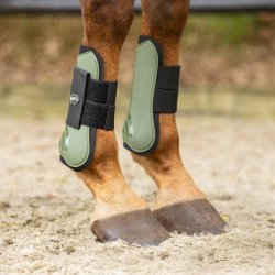 QHP Tendon Gamache - Deep Forest