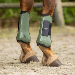 QHP Tendon Gamache - Deep Forest