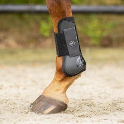 QHP Tendon Gamache - Sort
