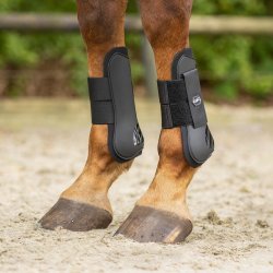 QHP Tendon Gamache - Sort