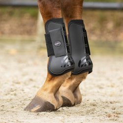 QHP Tendon Gamache - Sort
