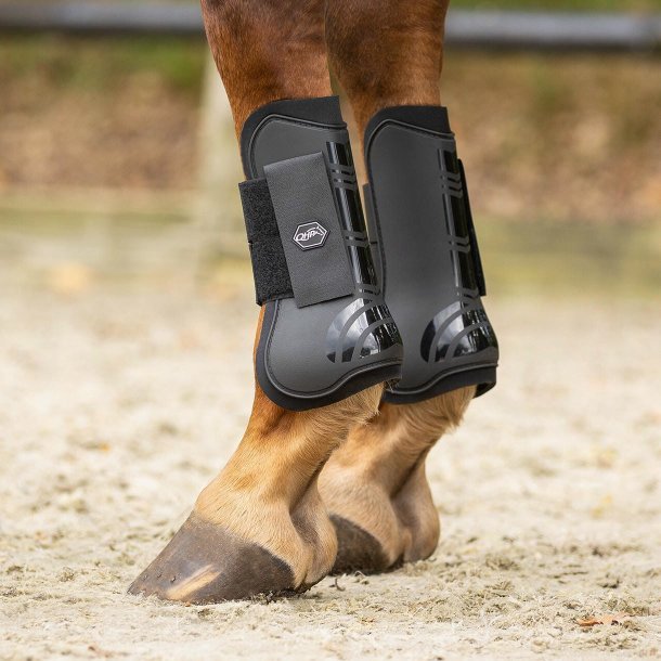 QHP Tendon Gamache - Sort