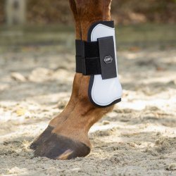 QHP Tendon Gamache - Hvid