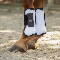 QHP Tendon Gamache - Hvid