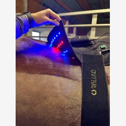 Riislund Light Therapy Mix - RED/BLUE - PRO