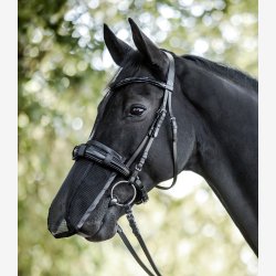 Waldhausen Mulenet m. UV