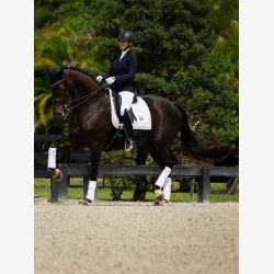 Equestrian Stockholm Dressur Sadelunderlag - White Perfection Silver