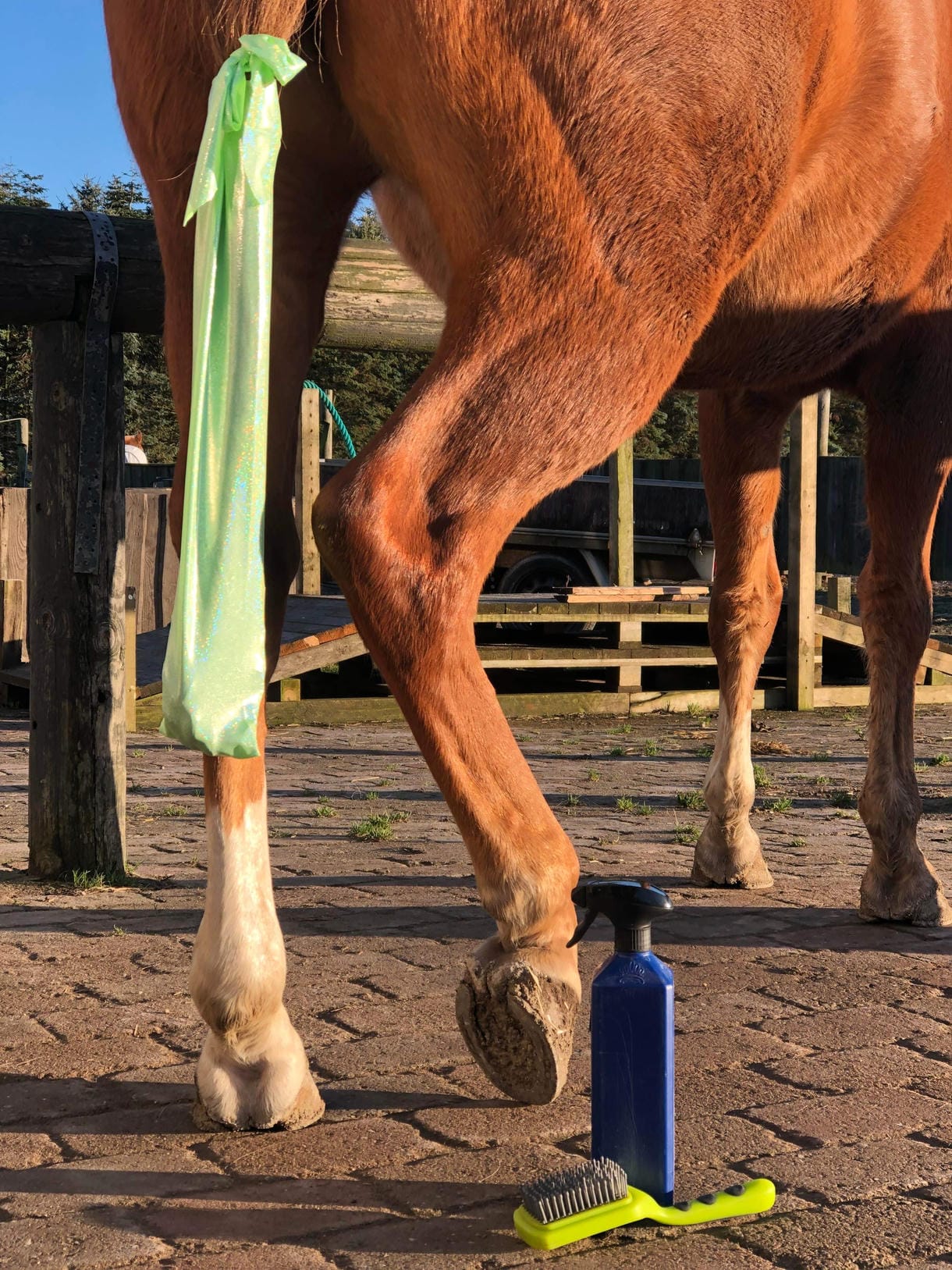 Haleposer i lycra til hest og pony