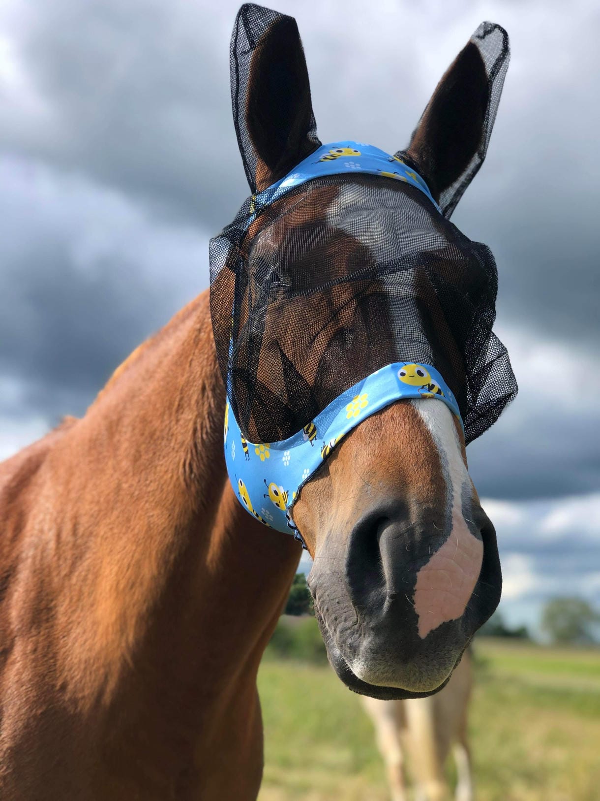 Fluemasker til hest og pony