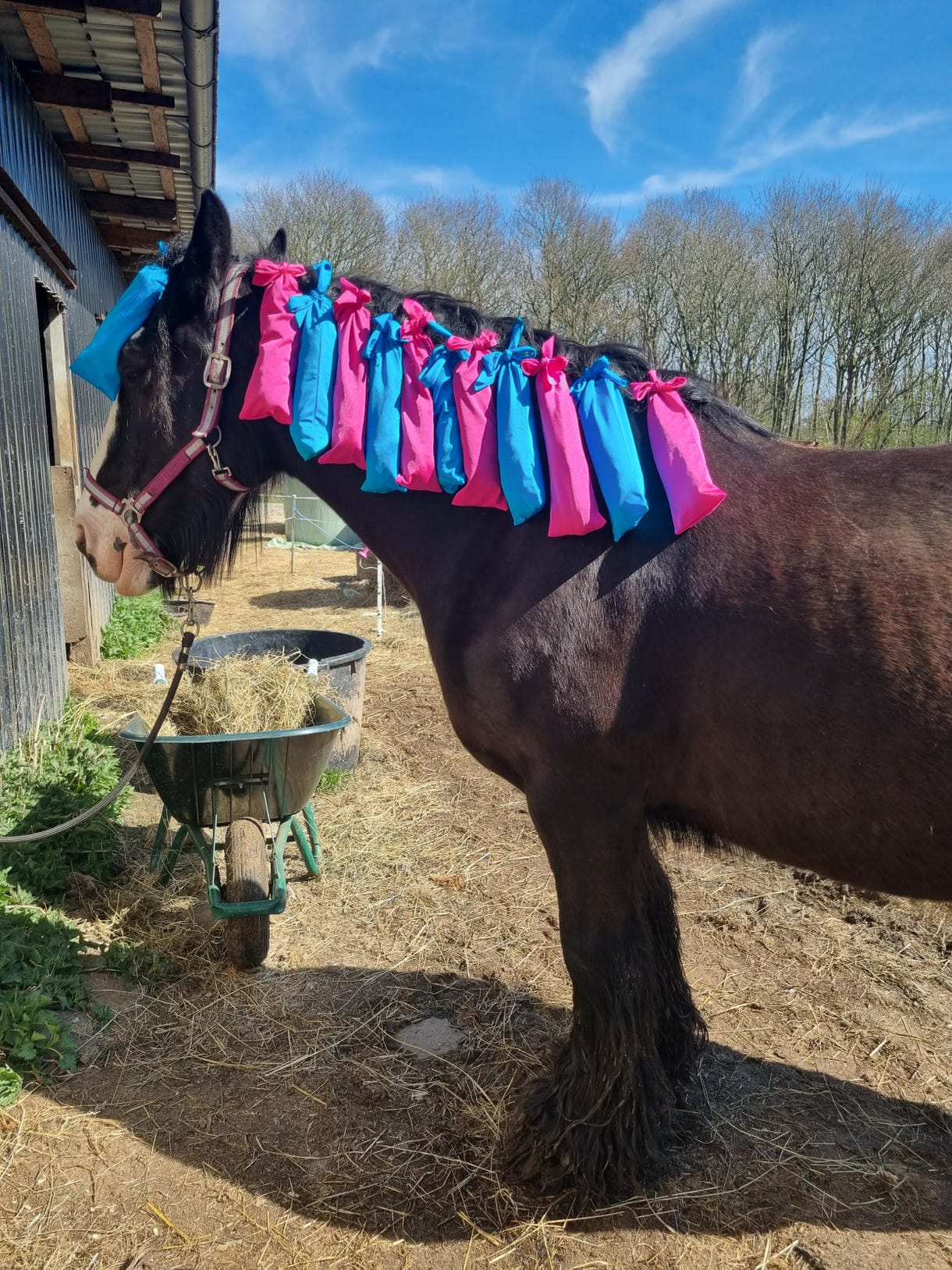 Manposer til hest og pony
