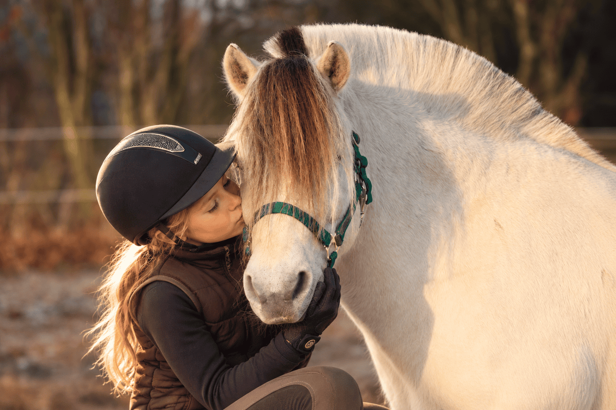 Rideudstyr til hest og pony